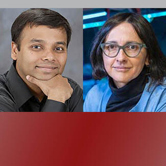 profs Subhasish Mitra and Jelena Vuckvic